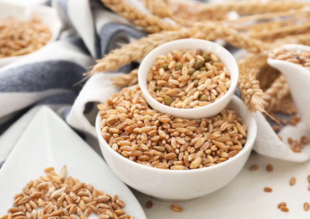 20 Pounds Raw Wheat Berries Y475
