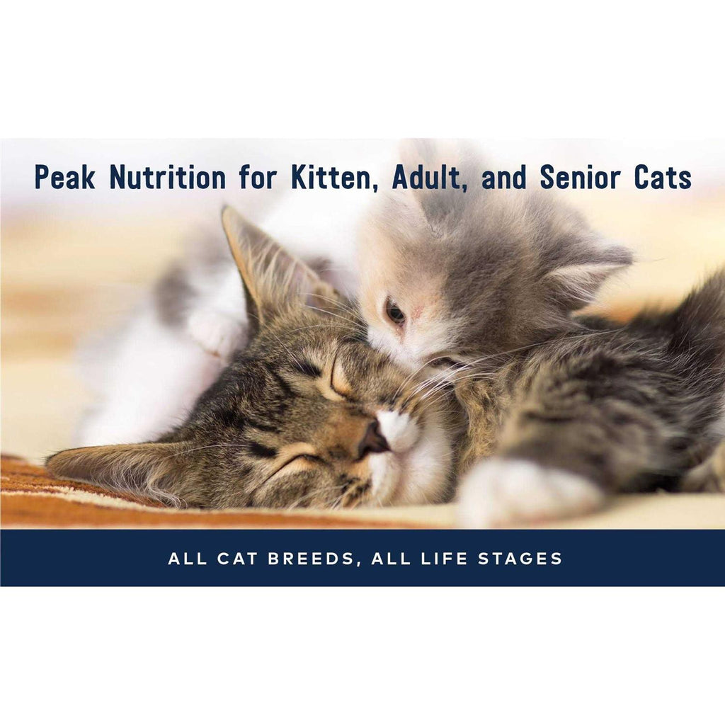 Chicken Recipe Canned Cat Food U47303