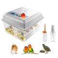 16 Eggs Digital Mini Egg Incubator with Automatic Turner Q122