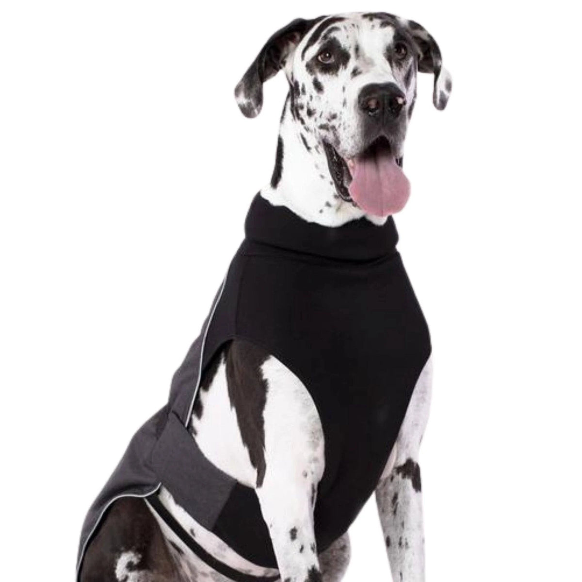 Charcoal Dog Coat Q73321