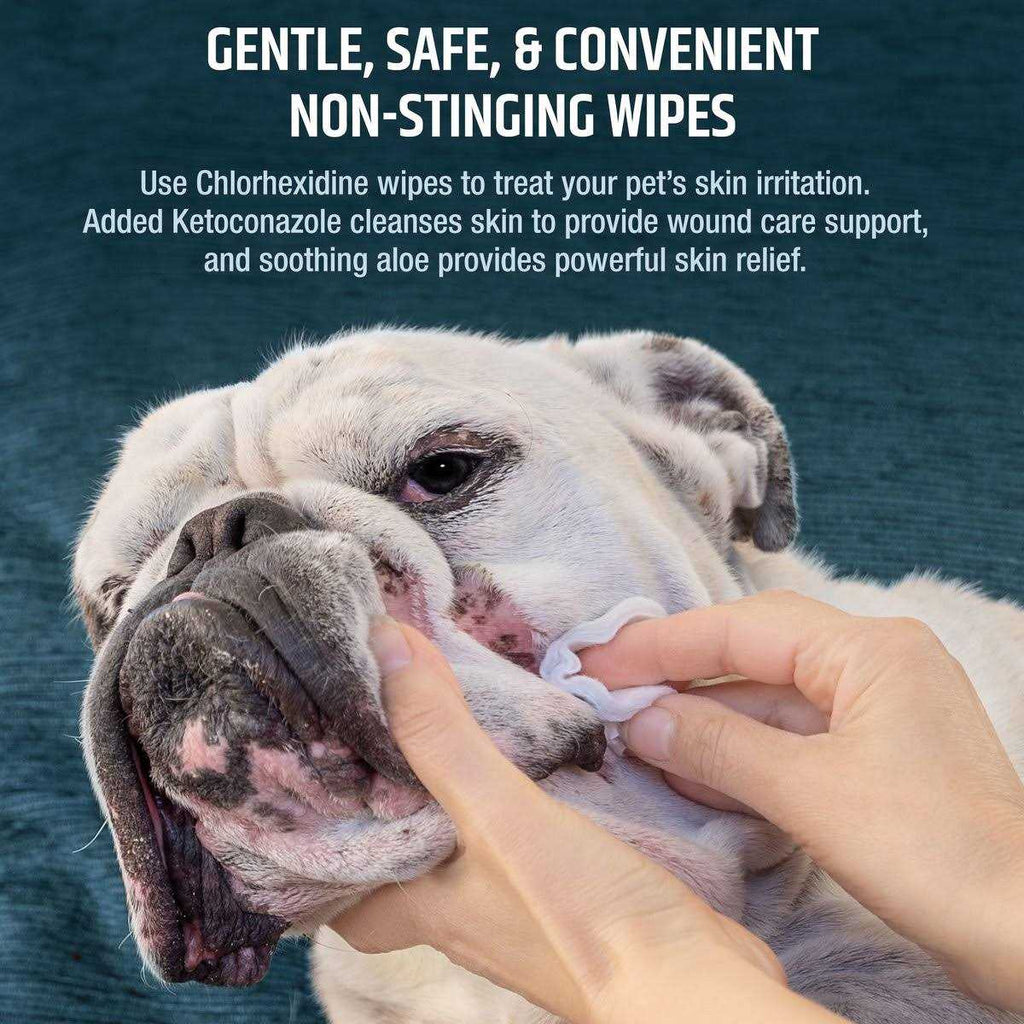 Chlorhexidine Dog & Cat Wipes N81096
