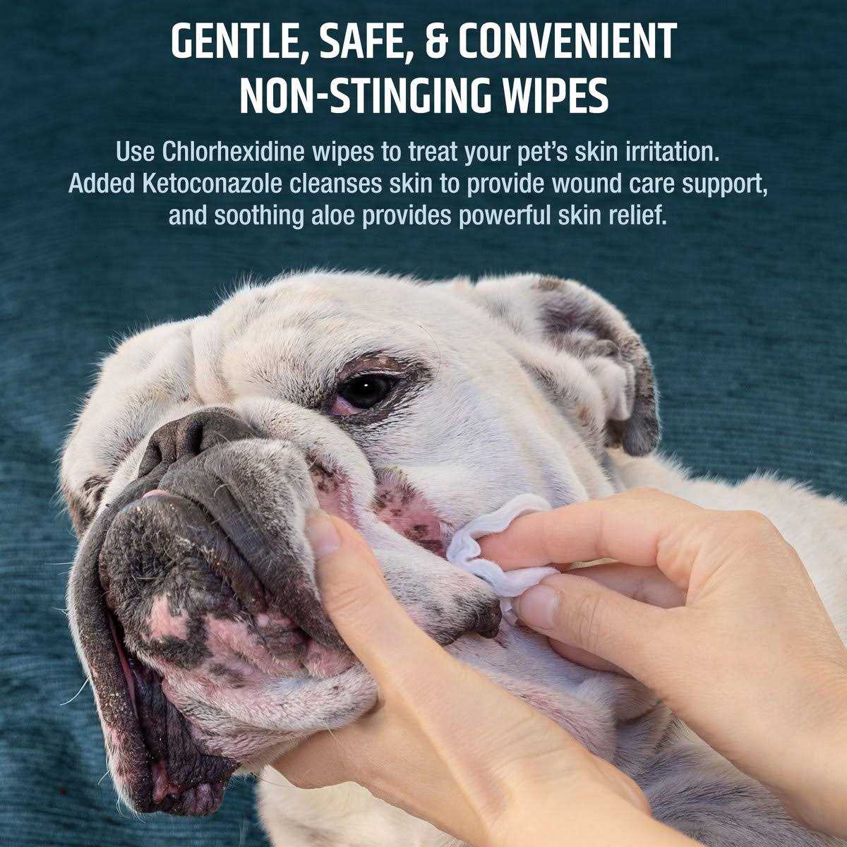 Chlorhexidine Dog & Cat Wipes N81096