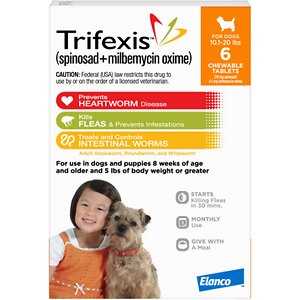 Dog Flea and Tick Prevention 6pk A8714