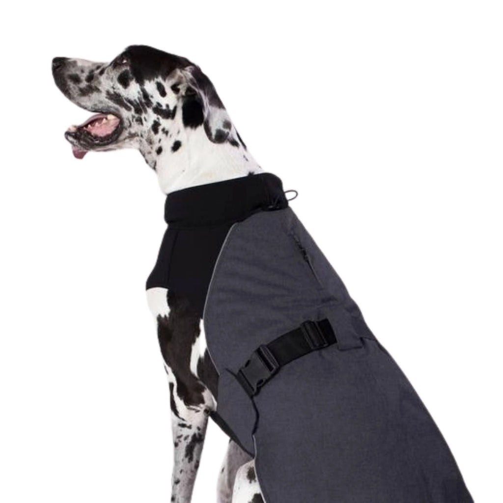 Charcoal Dog Coat Q73321