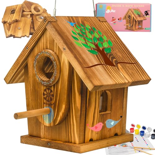 Carbonized Solid Mortise & Tenon Bird House DIY Kit D81775