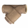 2-1/2 in. Threaded Y Strainer Valve with Tapped Retainer Cap L73542