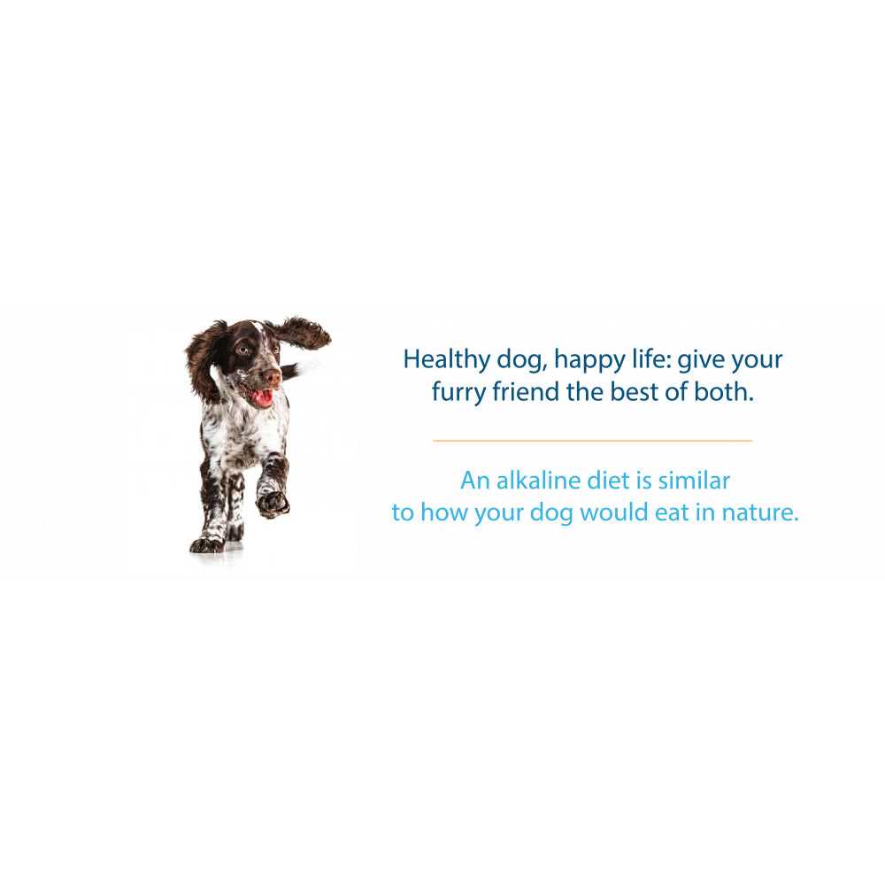 Grain Free Dry Dog Food V223775