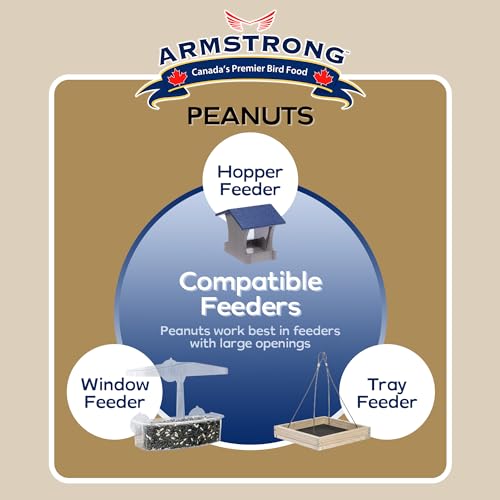 Shelled Peanut Halves Bird Seed 20 Pounds B9579