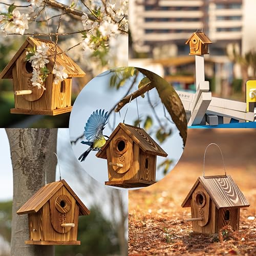 Carbonized Solid Mortise & Tenon Bird House DIY Kit D81775