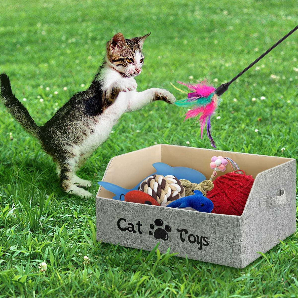 Large Foldable Cat Toy Storage Box K87297