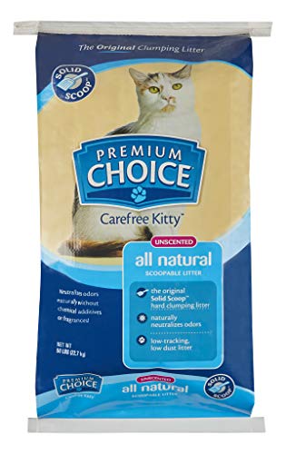 Unscented Clumping Cat Litter - 25lb Bag N228315