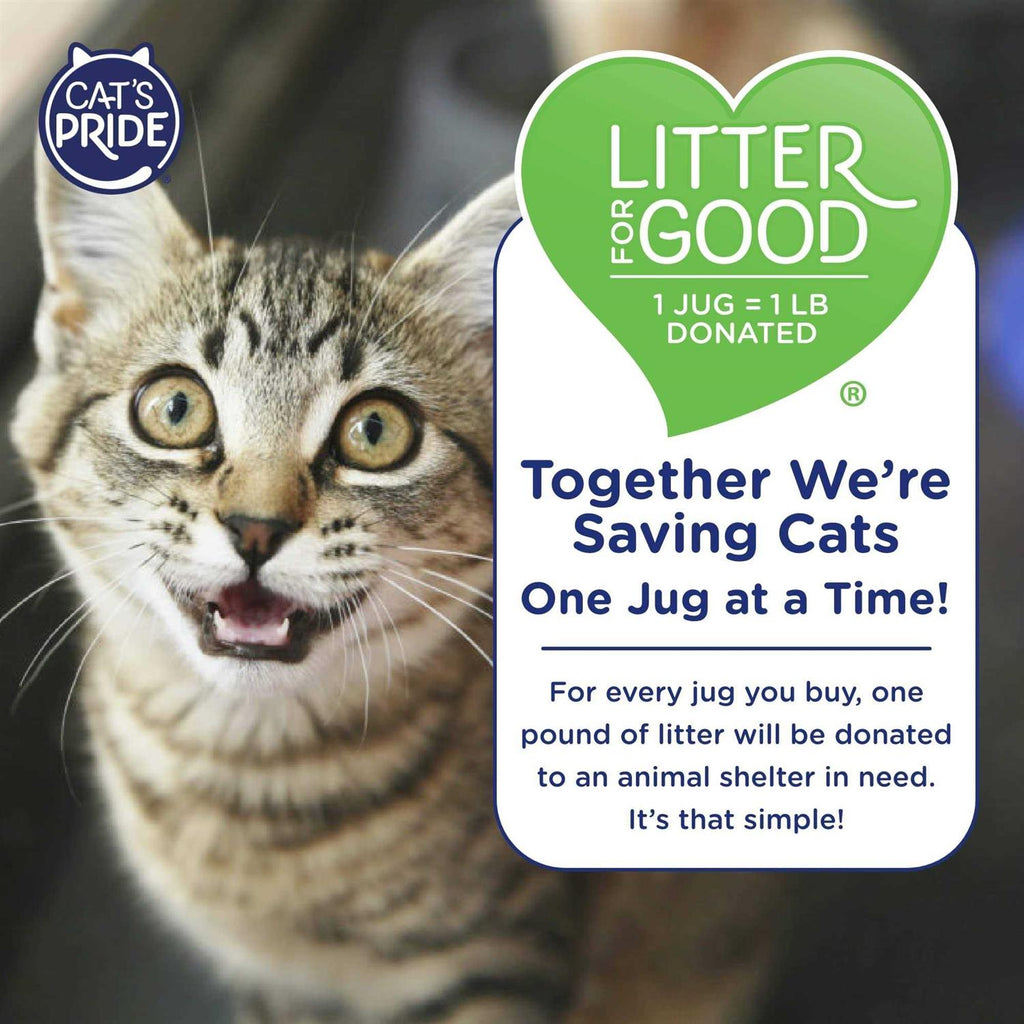 Multi-Cat Clumping Litter E108575