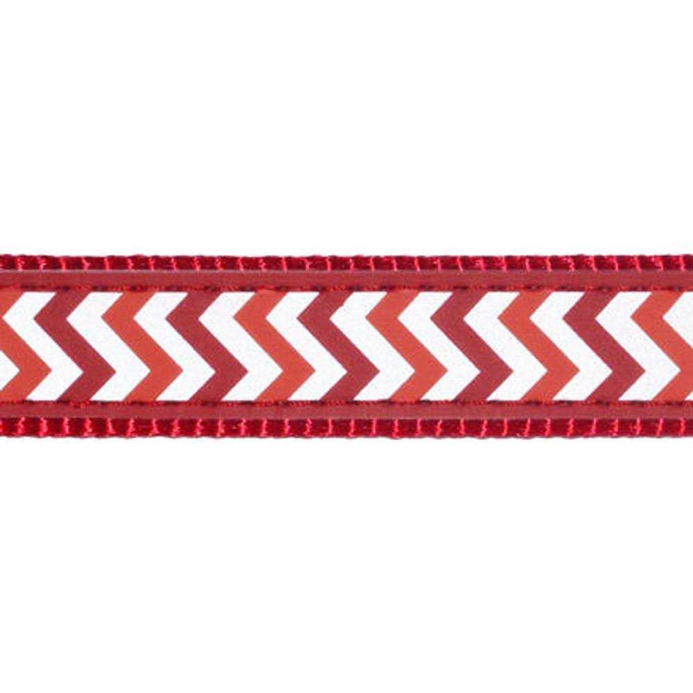 Dog Collar R6079