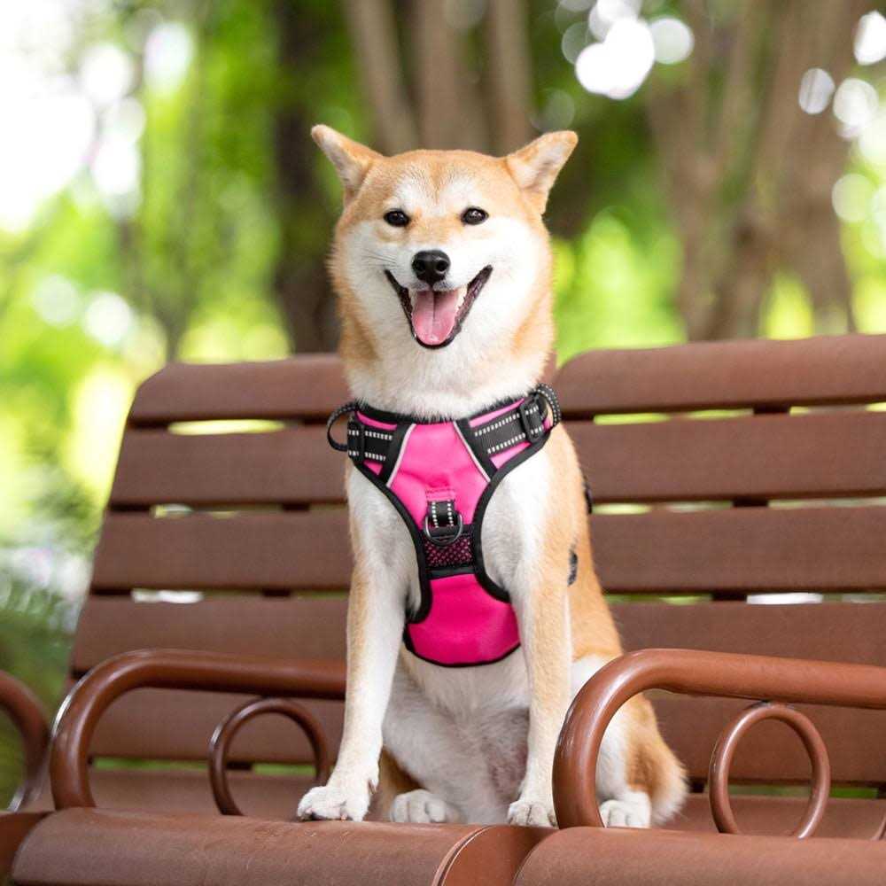 No Pull Reflective Dog Harness Q66638