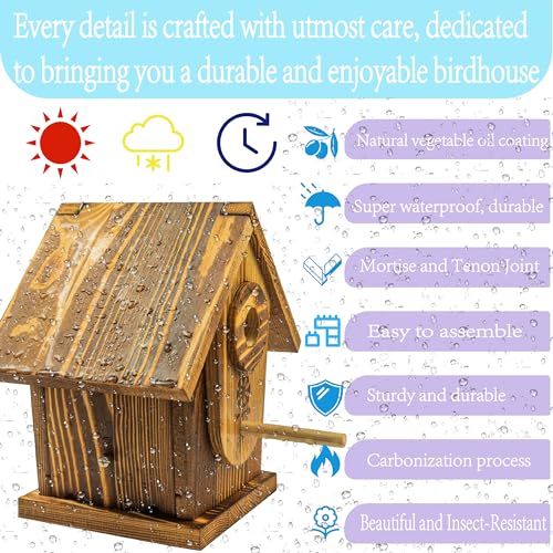 Carbonized Solid Mortise & Tenon Bird House DIY Kit D81775
