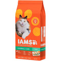 Adult Cat Dry Food W315