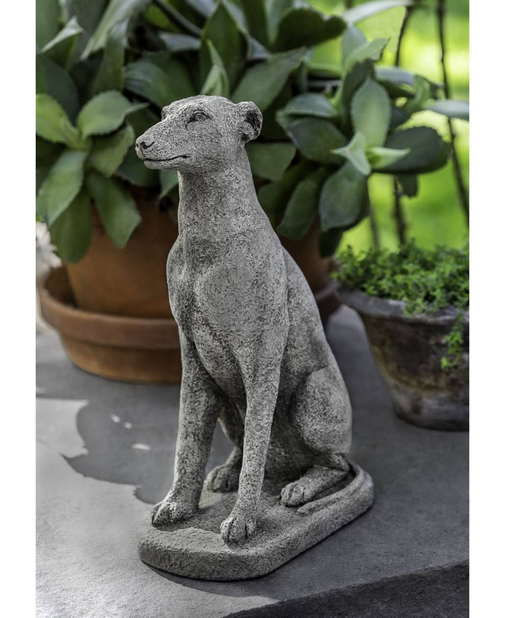 12x22 Greyhound French Limestone K55692