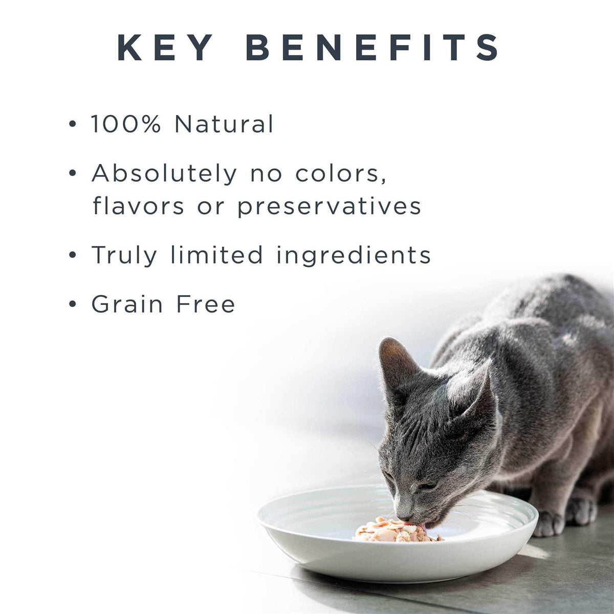 Natural Wet Cat Food Fish Variety Pack in Broth W96327