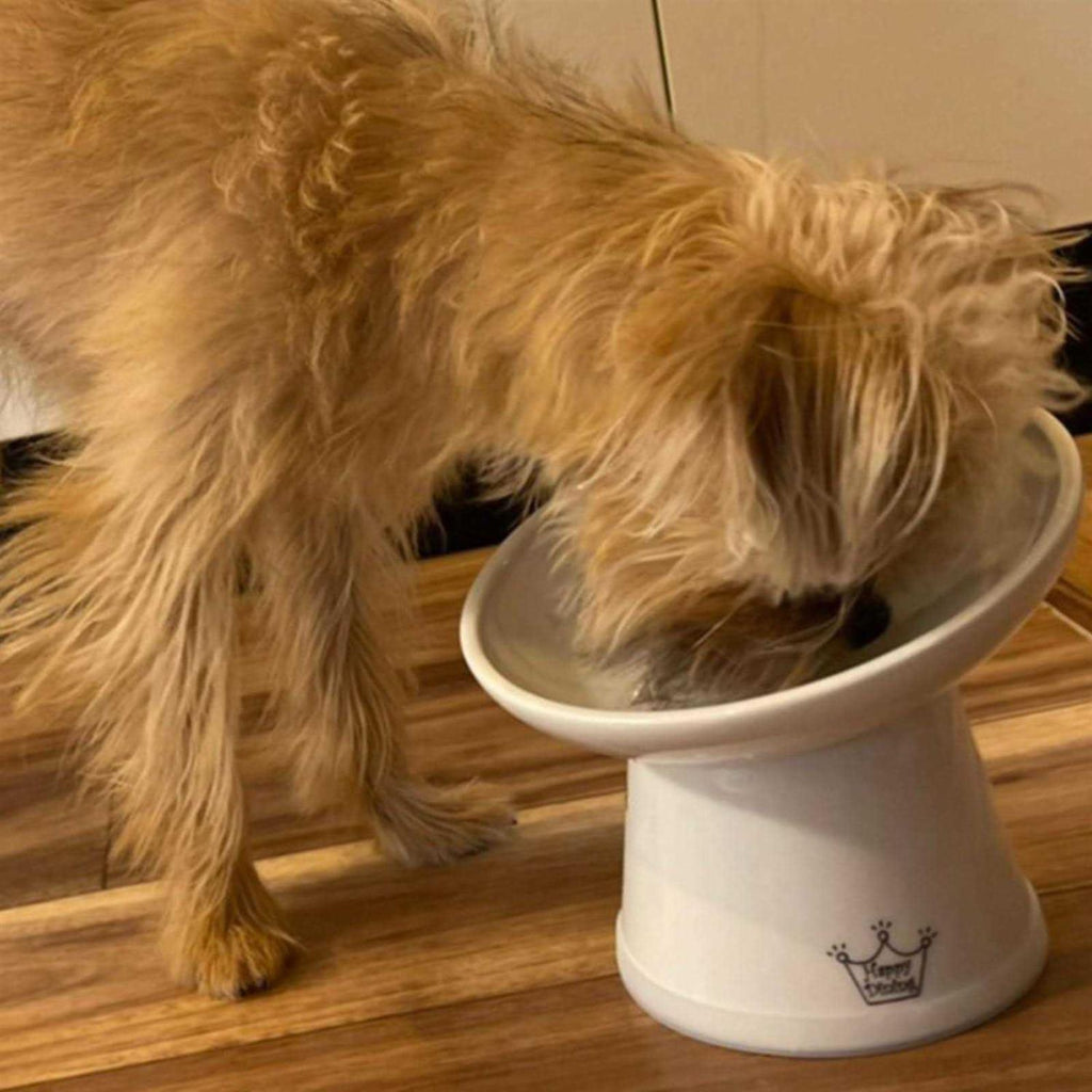 Extra Wide Raised Cat Food Bowl F600