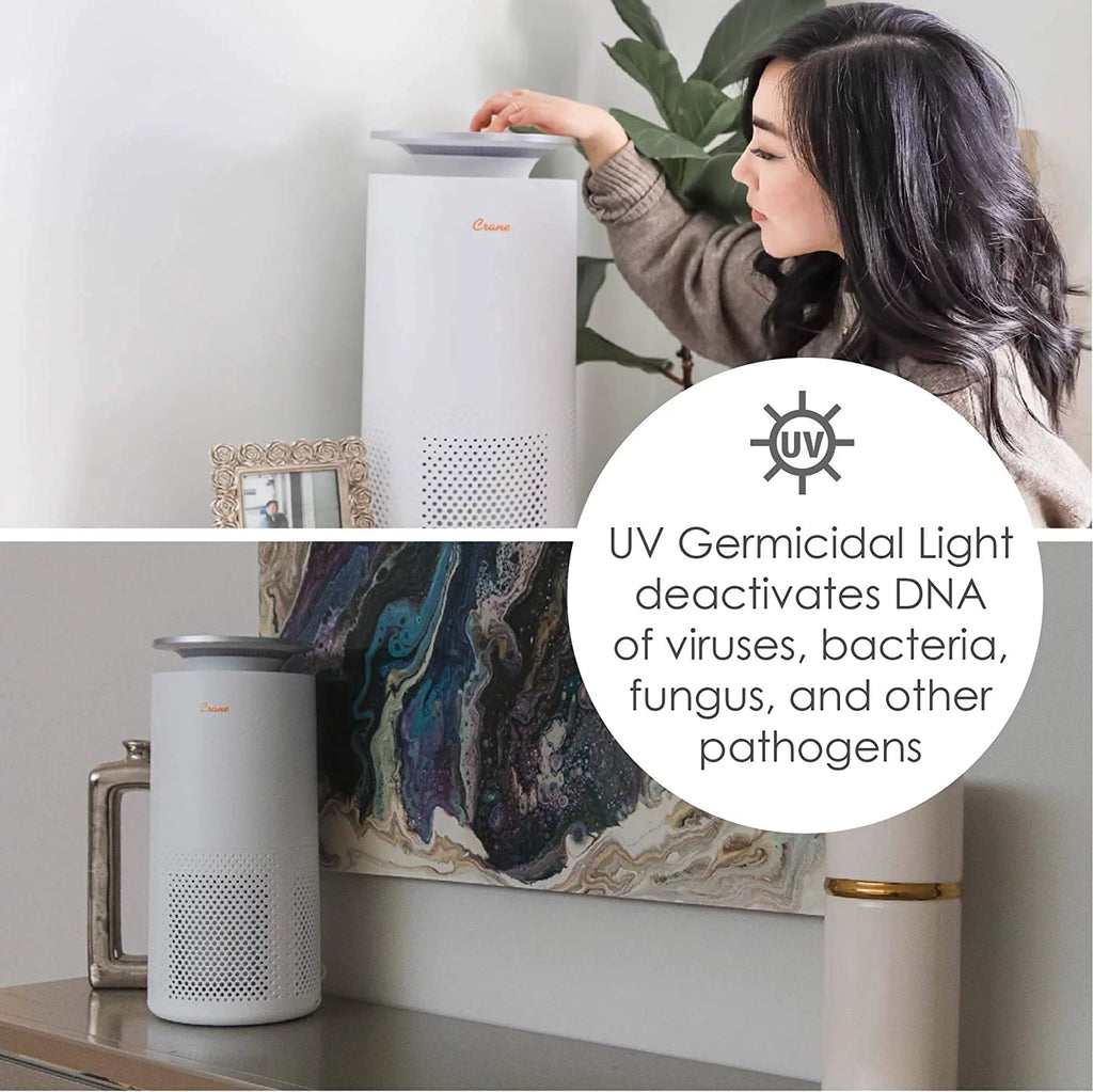 Air Purifier with True HEPA Filter J747