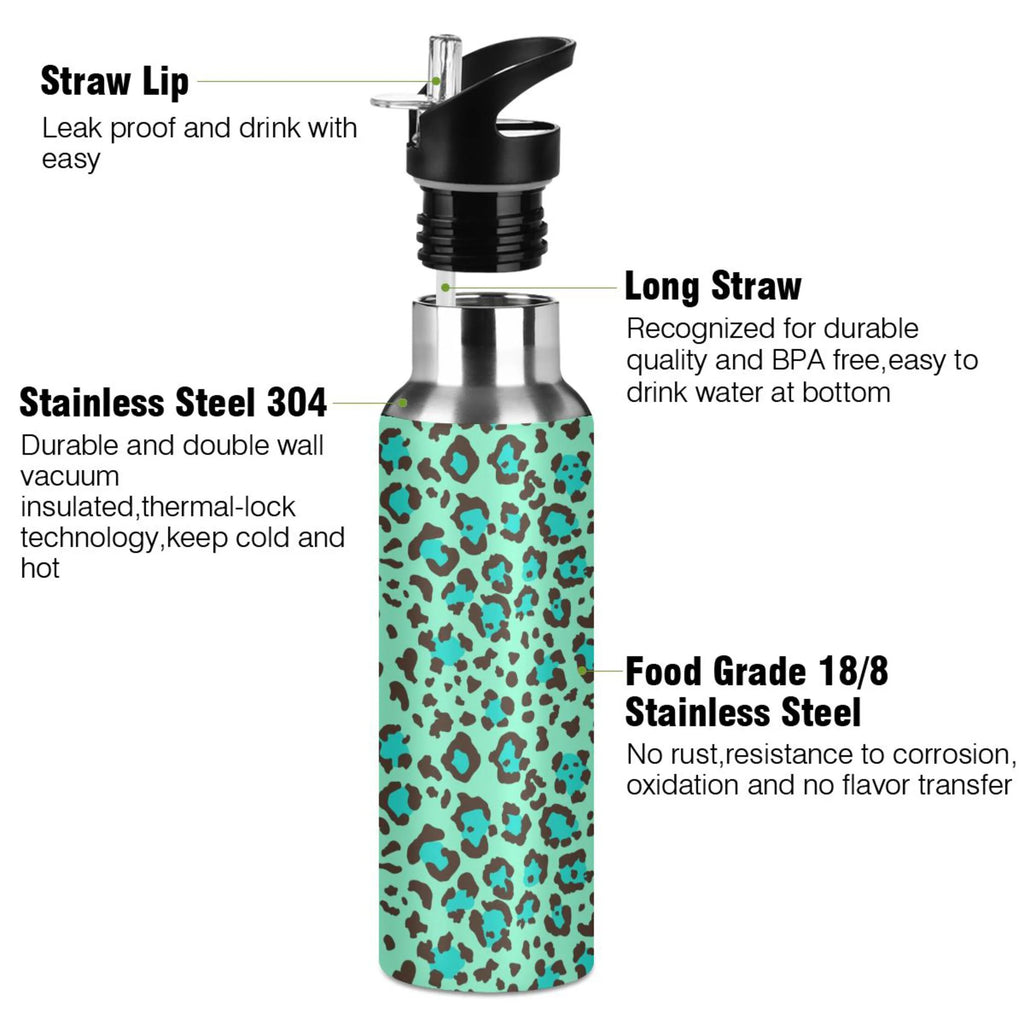 20 OZ Stainless Steel Vacuum Insulated Water Bottle with Straw Lid Q610
