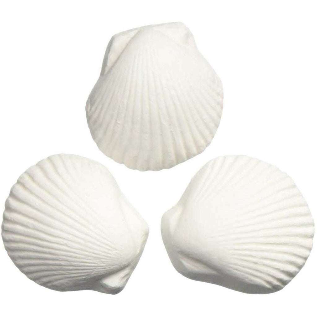 Wonder Shell M39252