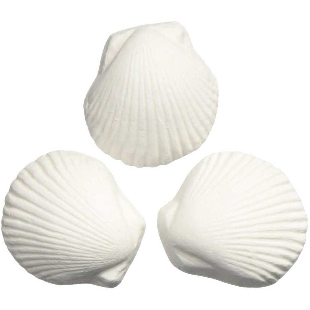 Wonder Shell M39252