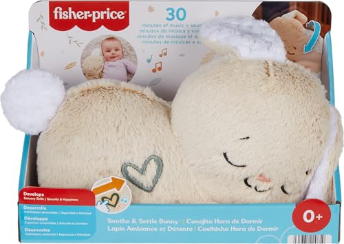 Portable Plush Sound Machine with Music Lights K665260