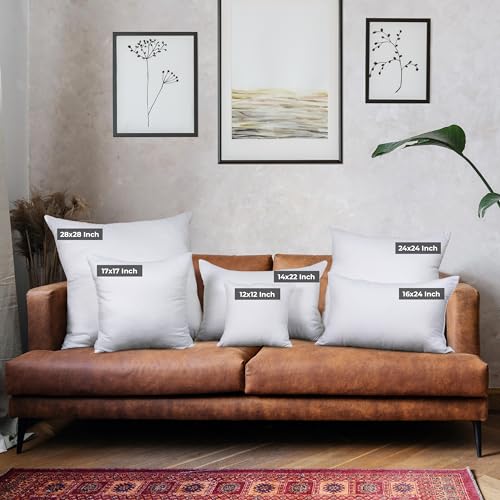 White 18 x 18 Inches Throw Pillows Set of 1 C1949