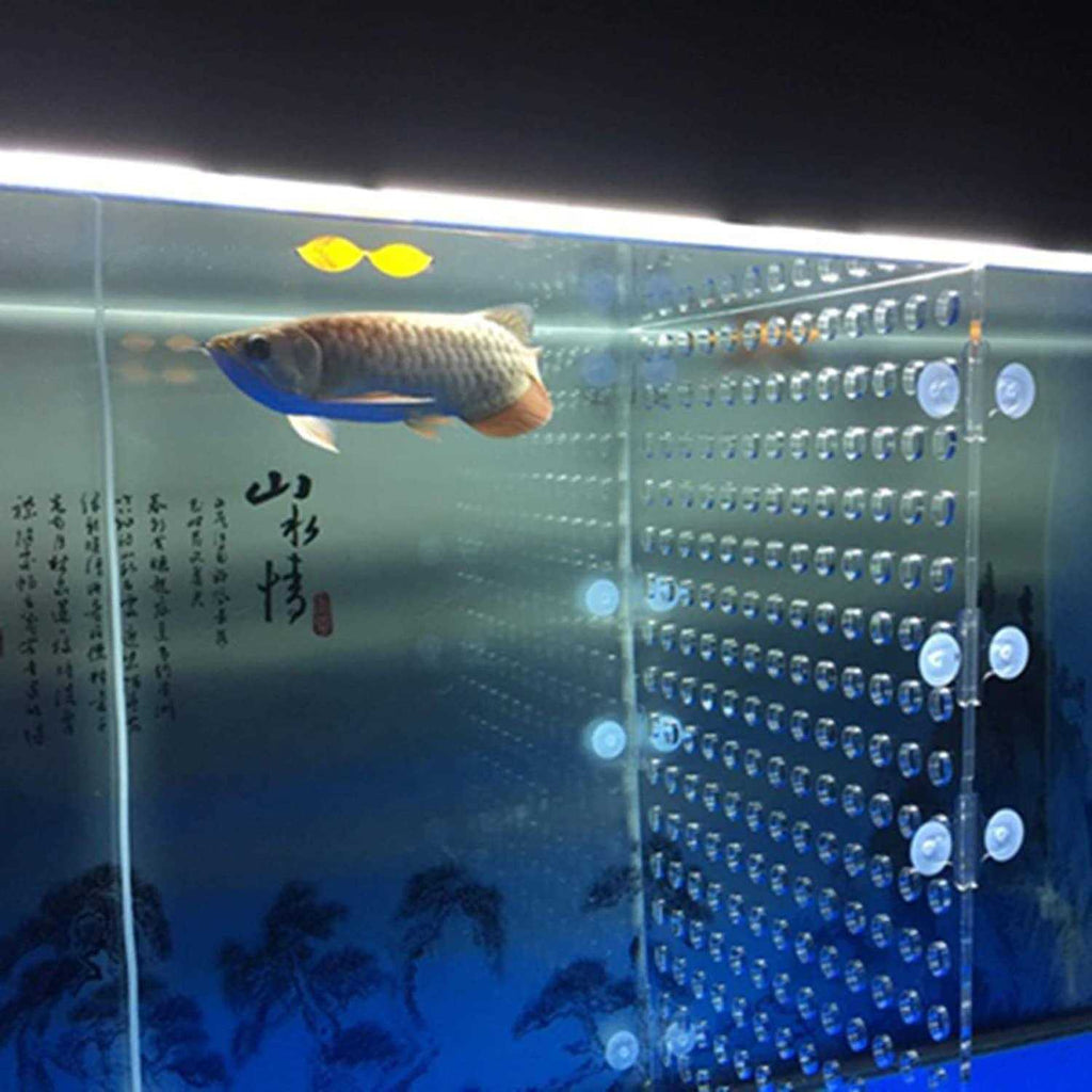 Acrylic Divider Isolation Board with Suction Cups Q652256