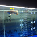 Acrylic Divider Isolation Board with Suction Cups Q652256