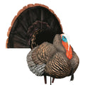 Hard Body Turkey Decoy T649