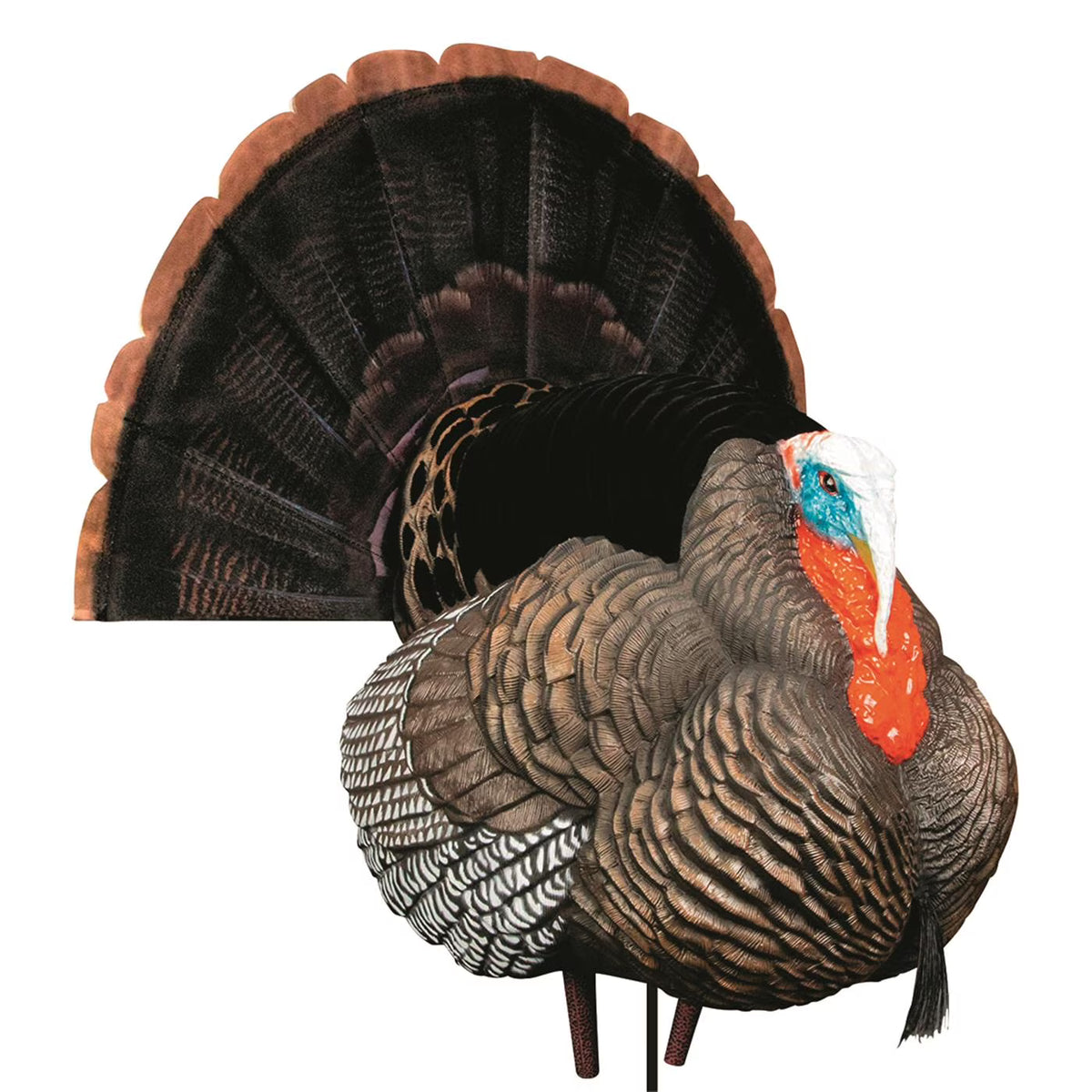 Hard Body Turkey Decoy T649