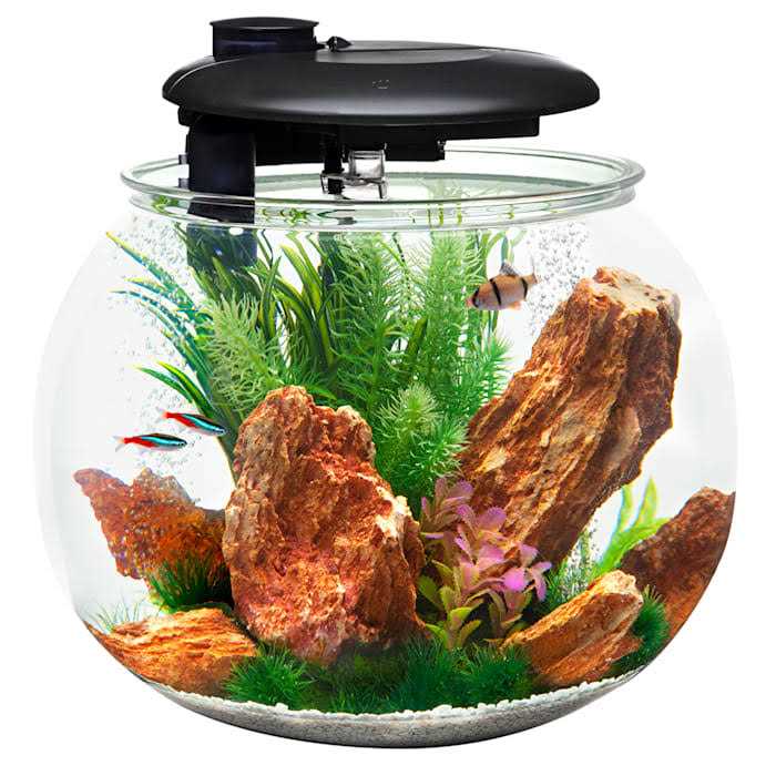 24 Gallon Polycarbonate Bowl-Shaped Aquarium R2858