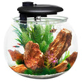 24 Gallon Polycarbonate Bowl-Shaped Aquarium R2858
