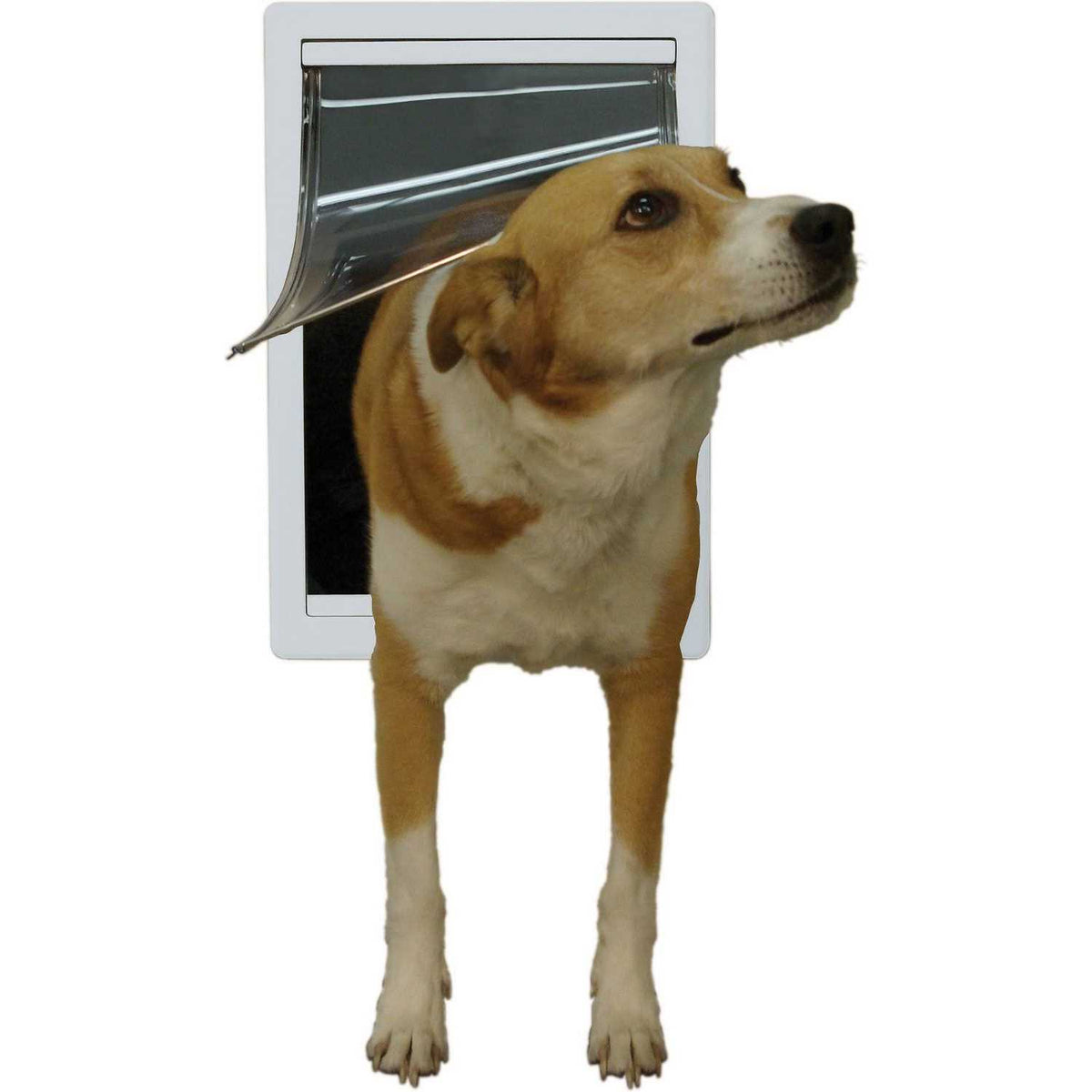 Plastic Pet Door Y14689