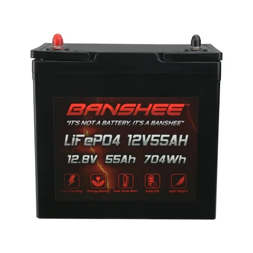 12V 55AH Lithium LiFePO4 Deep Cycle Battery 4 Pack O9838