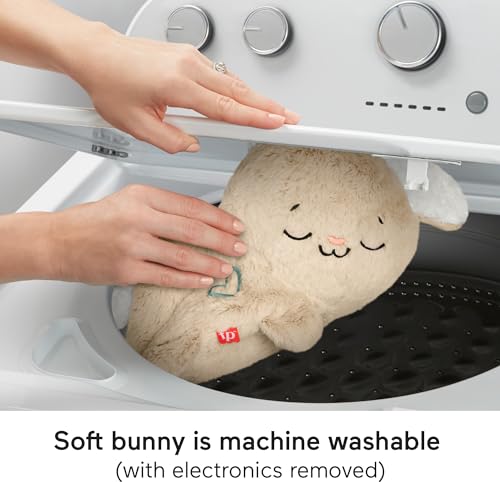 Portable Plush Sound Machine with Music Lights K665260