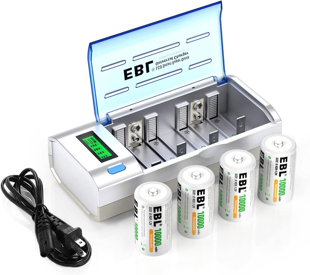 D Cells 10000mAh Rechargeable Batteries (4 Counts) with Battery Charger Pack of 2 Z365
