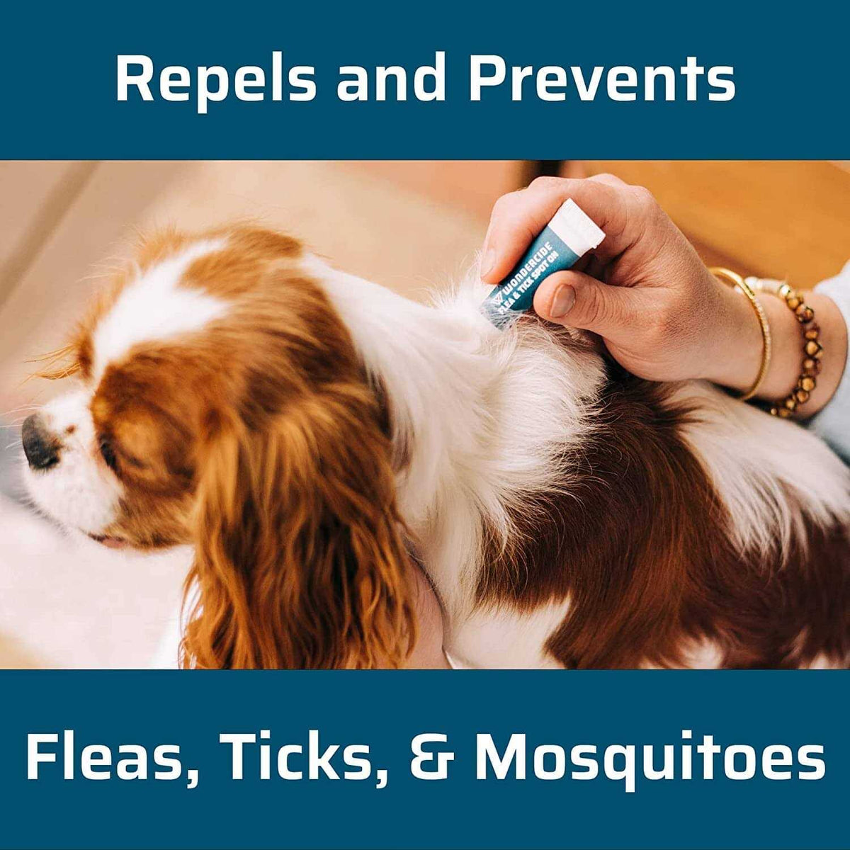 Flea & Tick Spot On for Dogs V4405