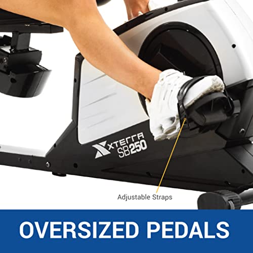 Recumbent Bike B75340