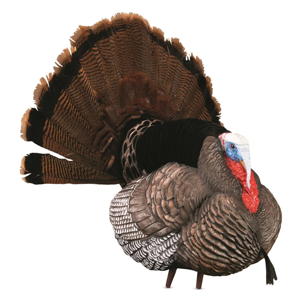 Hard Body Turkey Decoy T649