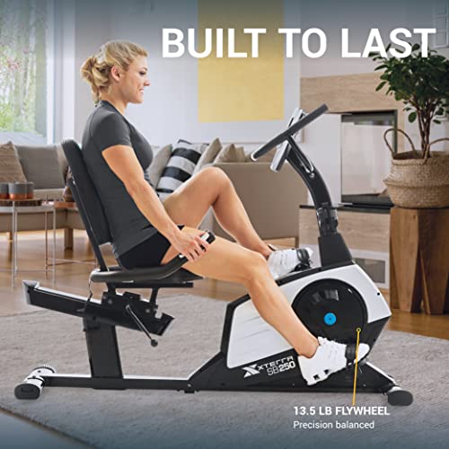 Recumbent Bike B75340
