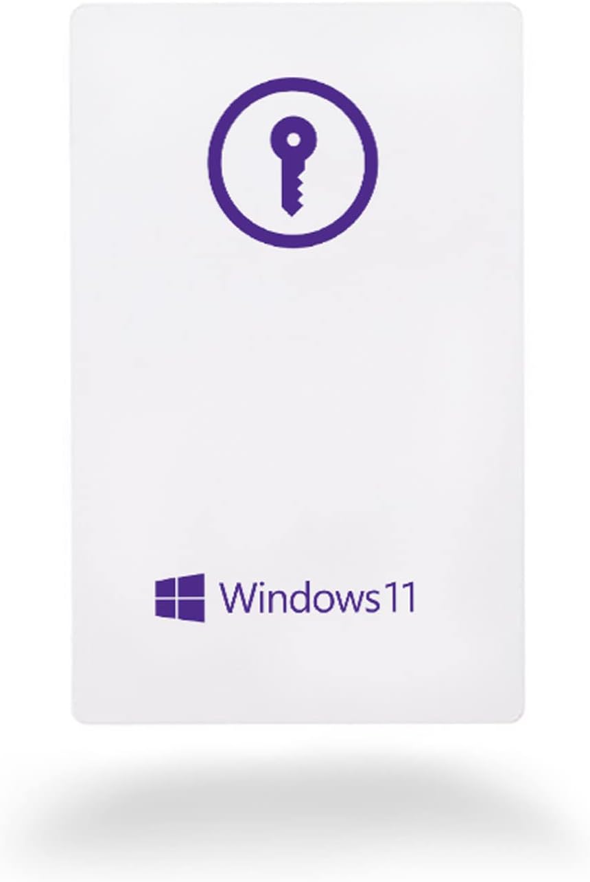 Window 11 Pro USB Flash 1 PC English International 2022 Version T8638