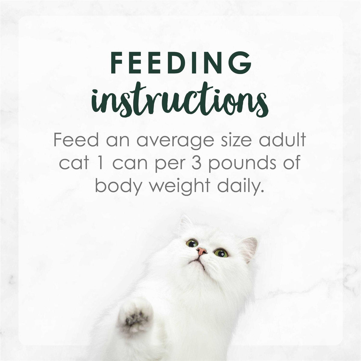 Wet Cat Food J86692