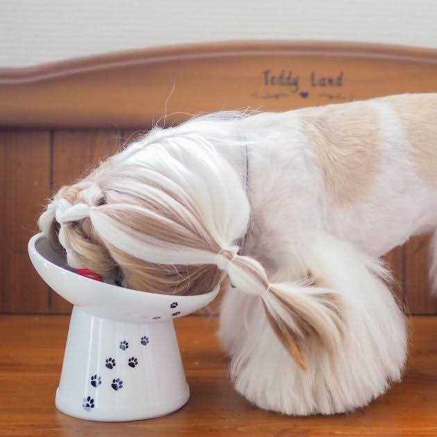 Extra Wide Raised Cat Food Bowl F600