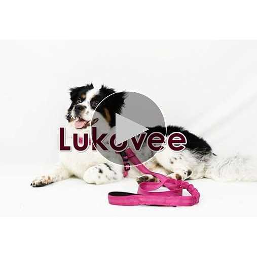 Heavy Duty Adjustable Reflective Dog Harness and Leash P9479