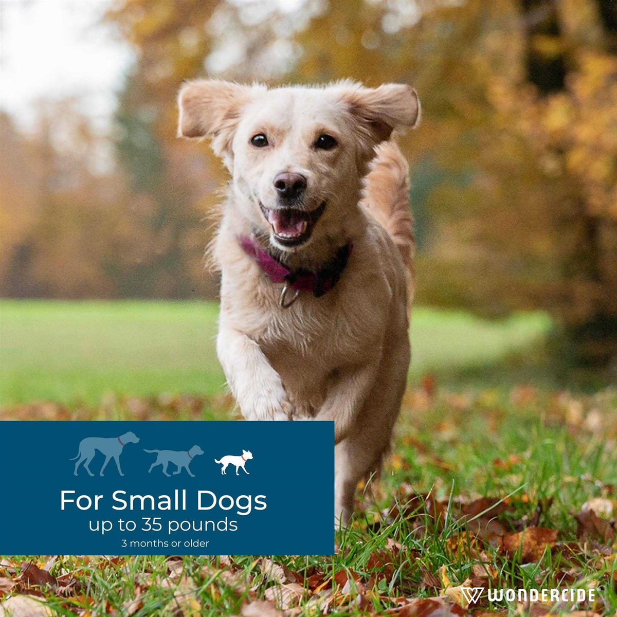Flea & Tick Spot On for Dogs V4405