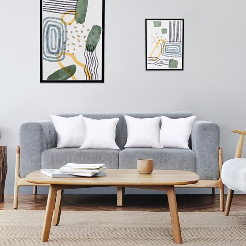 White 18 x 18 Inches Throw Pillows Set of 1 C1949