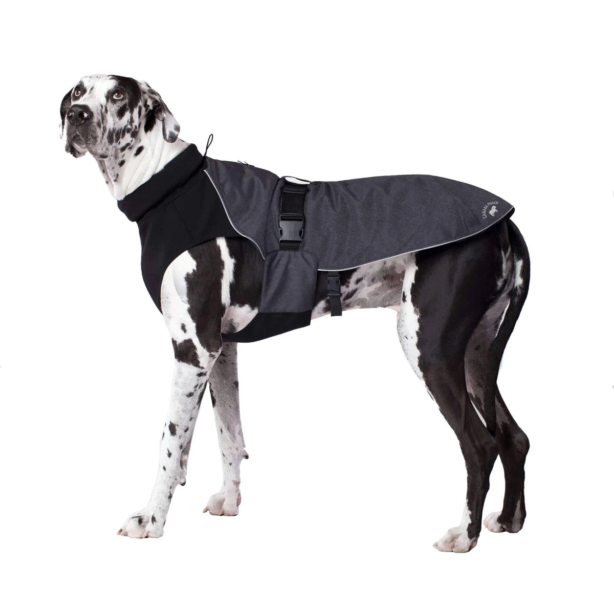 Charcoal Dog Coat Q73321